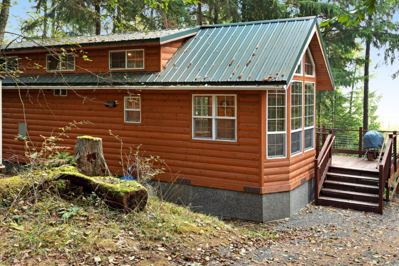 Racoon Retreat